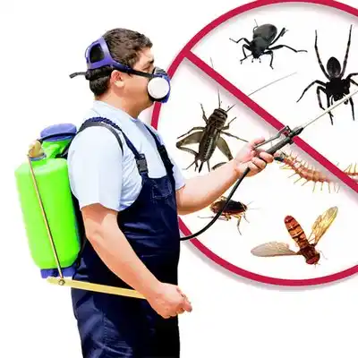 pest control Warroad